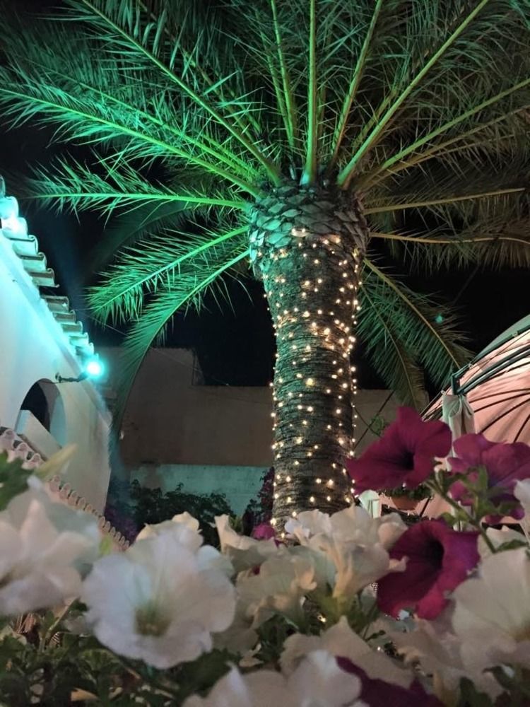 Hotel Antares Cala d'Or  Exterior photo